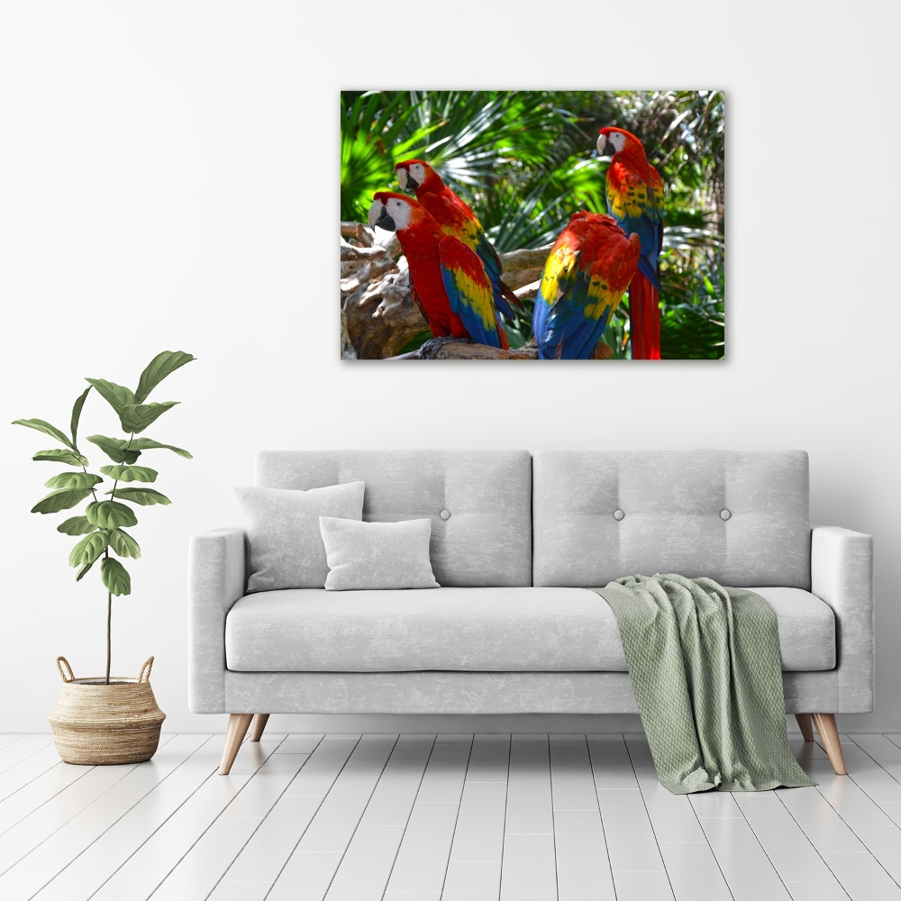 Large canvas wall art Ary parrots