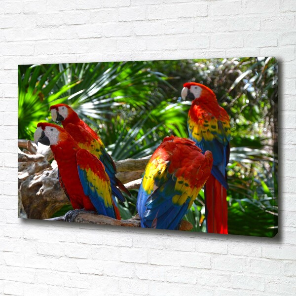 Large canvas wall art Ary parrots