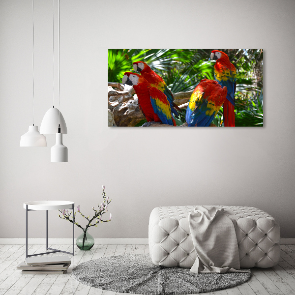 Large canvas wall art Ary parrots