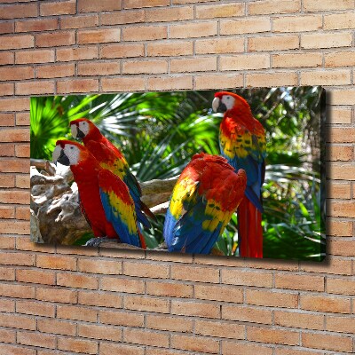 Large canvas wall art Ary parrots