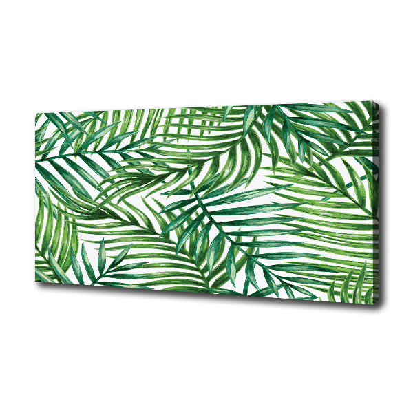 Palm leaves