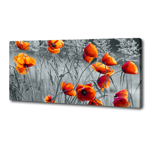 Canvas wall art Field poppies