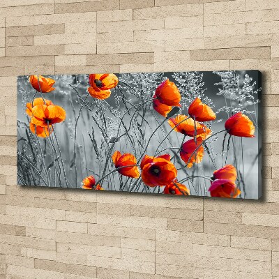 Canvas wall art Field poppies