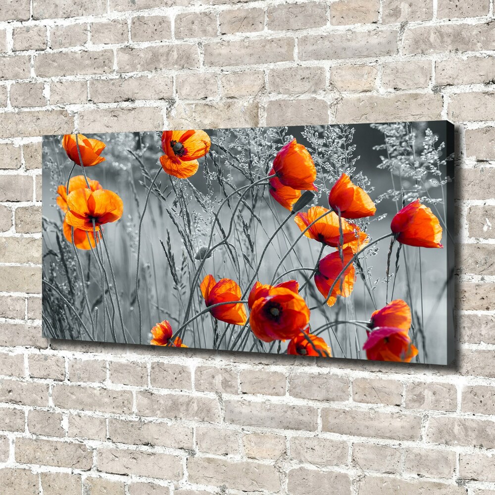 Canvas wall art Field poppies