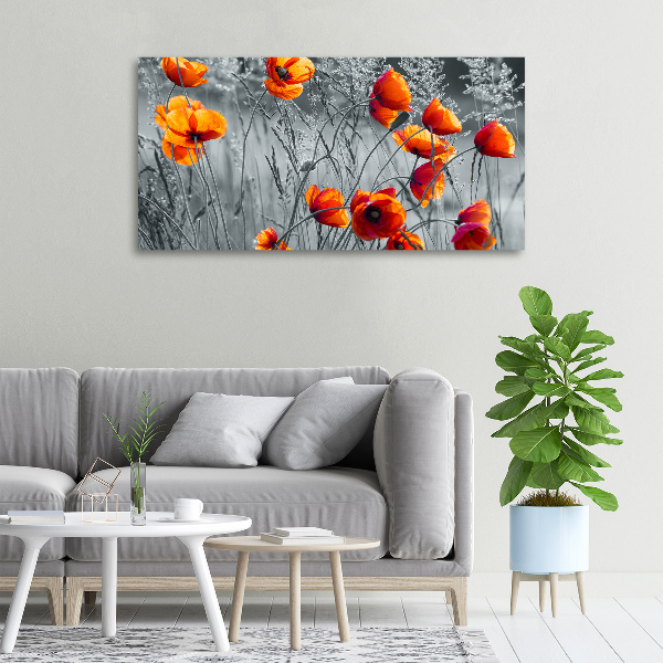 Canvas wall art Field poppies