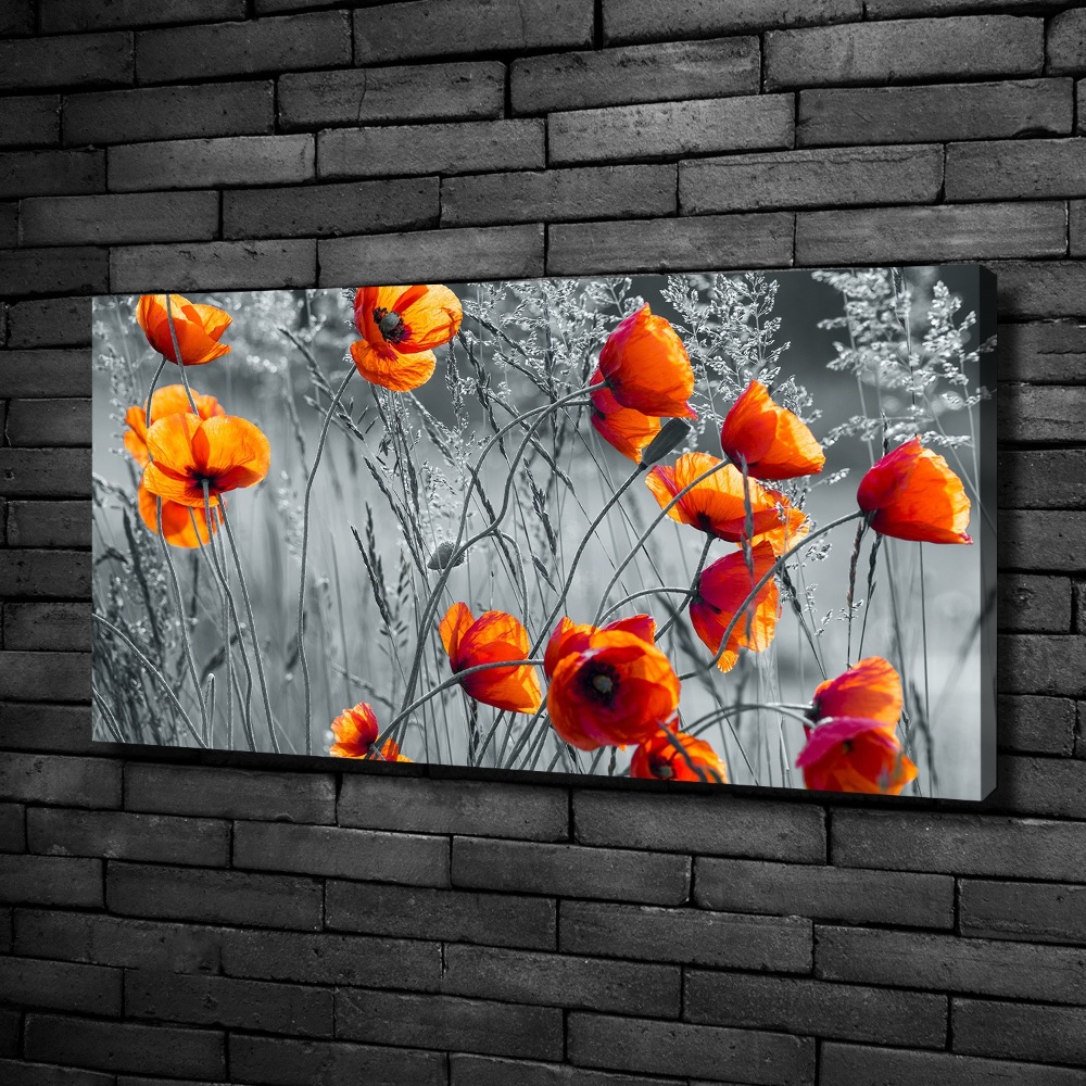 Canvas wall art Field poppies