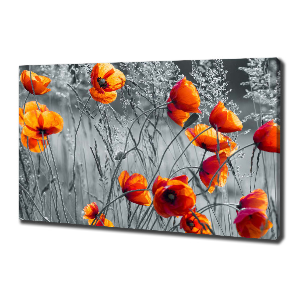 Canvas wall art Field poppies