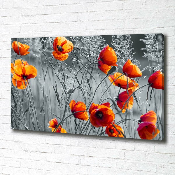 Canvas wall art Field poppies