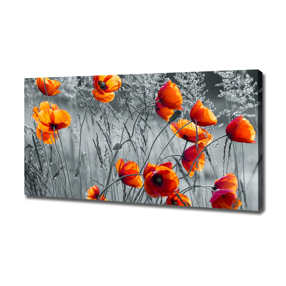 Canvas wall art Field poppies