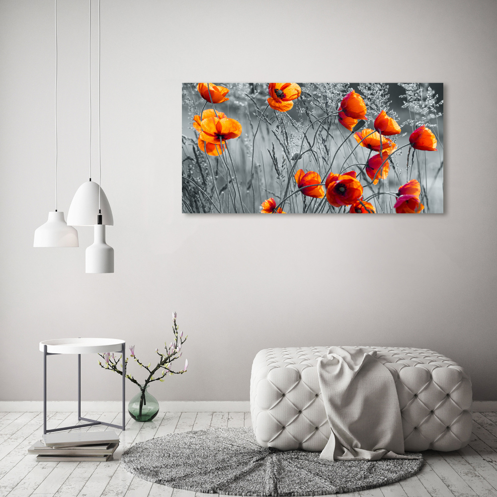 Canvas wall art Field poppies