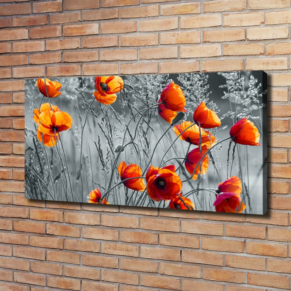 Canvas wall art Field poppies