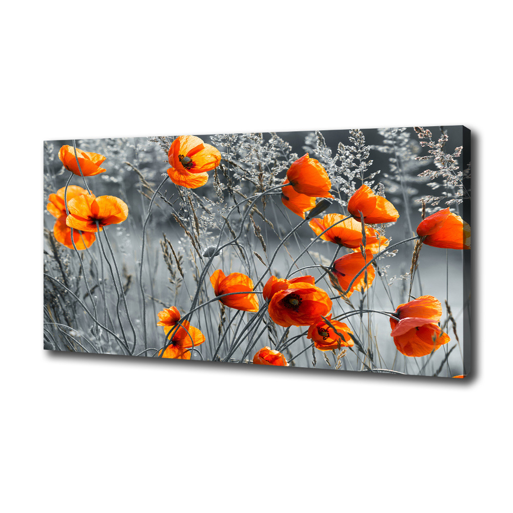 Canvas wall art Field poppies