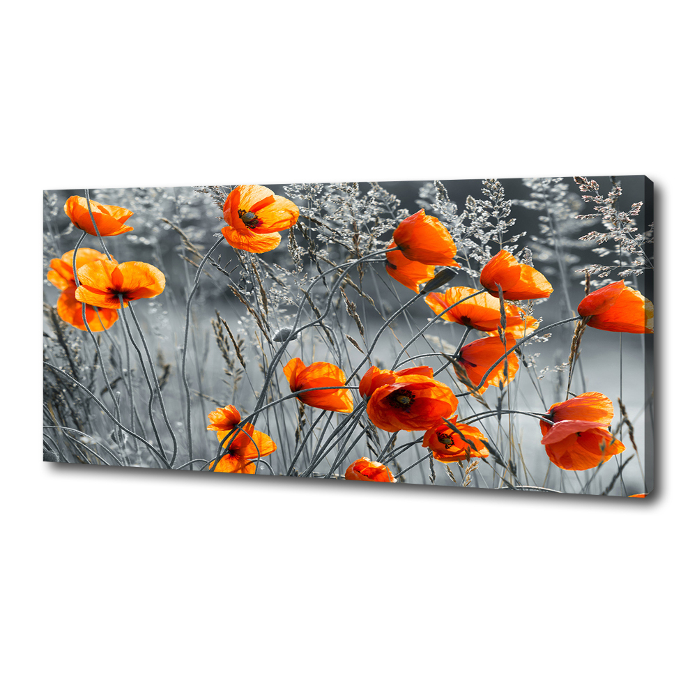 Canvas wall art Field poppies