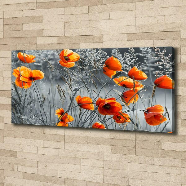 Canvas wall art Field poppies