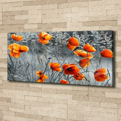 Canvas wall art Field poppies