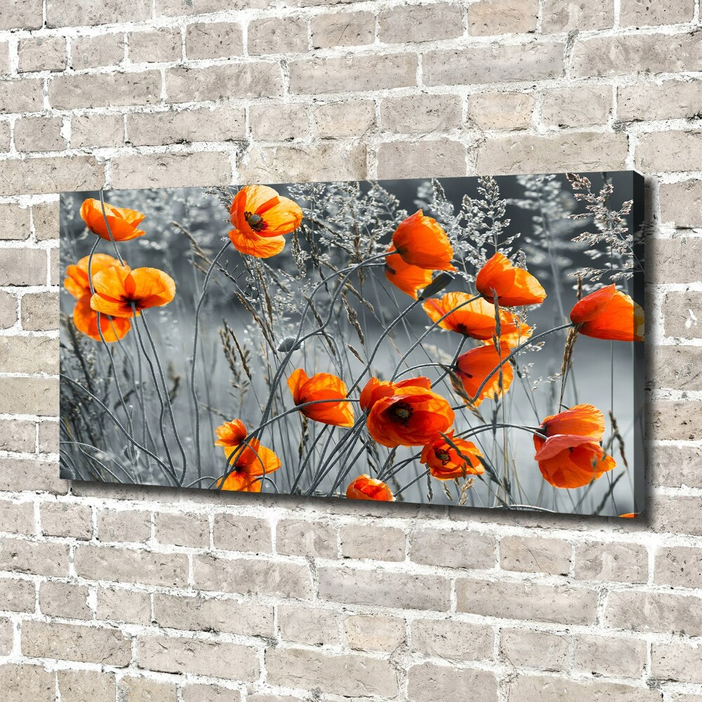 Canvas wall art Field poppies