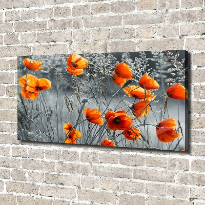 Canvas wall art Field poppies