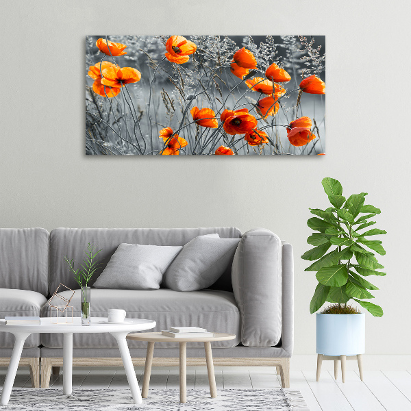 Canvas wall art Field poppies