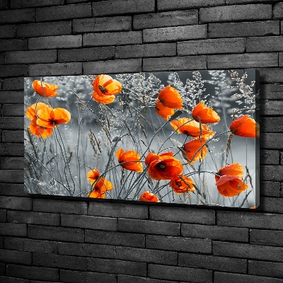 Canvas wall art Field poppies