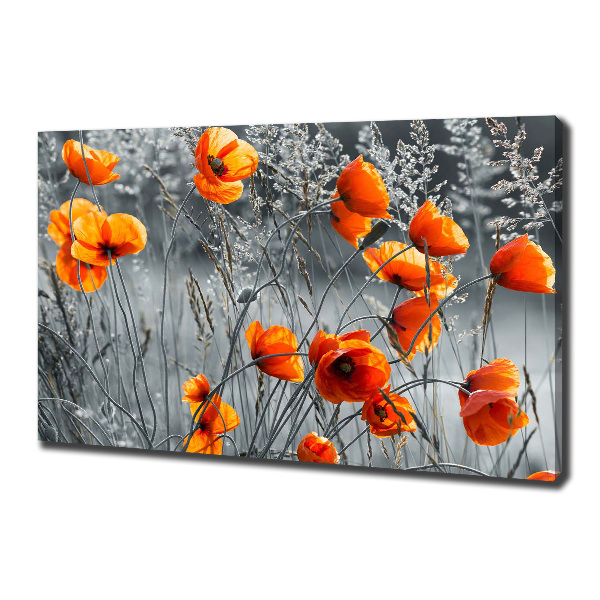 Canvas wall art Field poppies