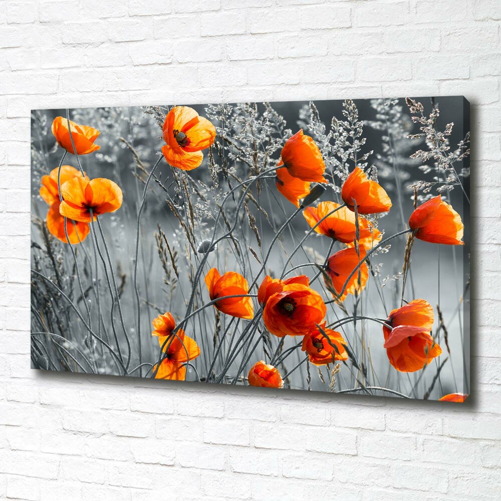 Canvas wall art Field poppies