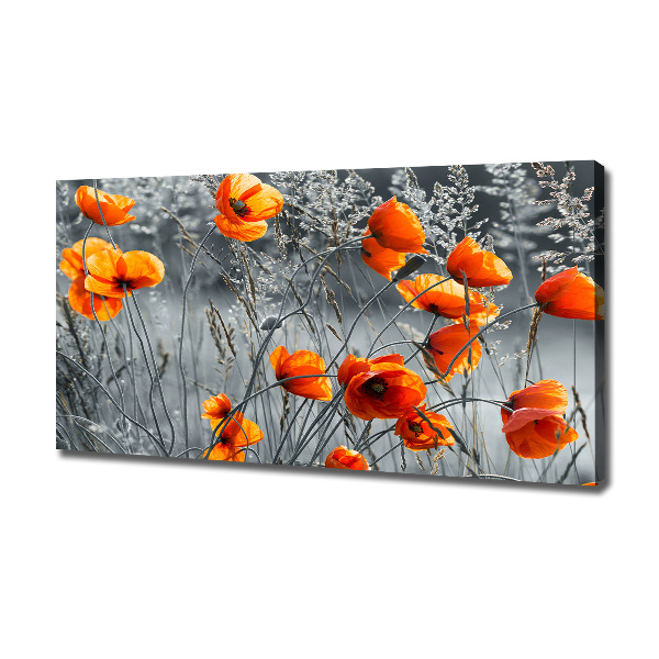 Canvas wall art Field poppies