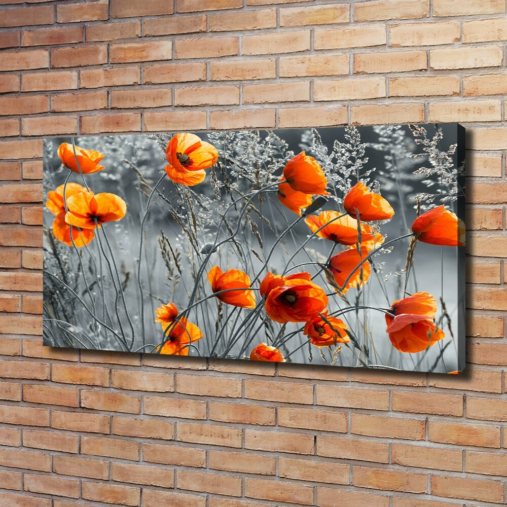 Canvas wall art Field poppies