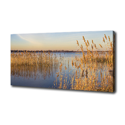 Canvas wall art Water cane