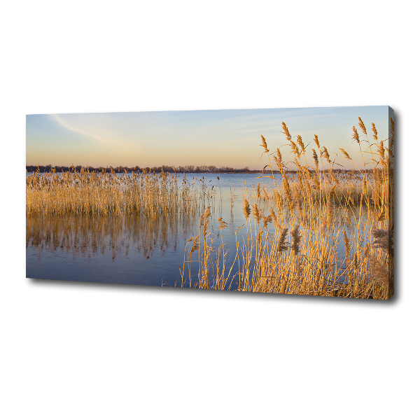 Canvas wall art Water cane