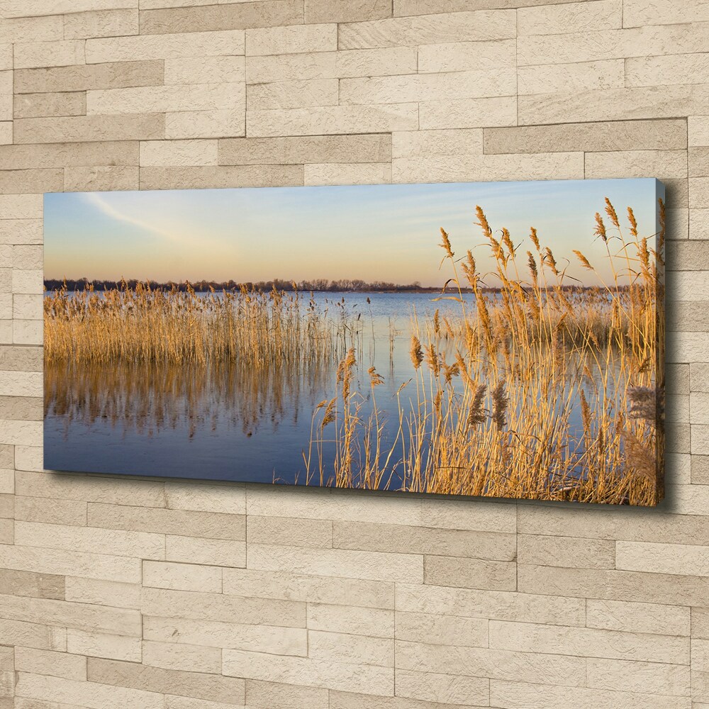 Canvas wall art Water cane