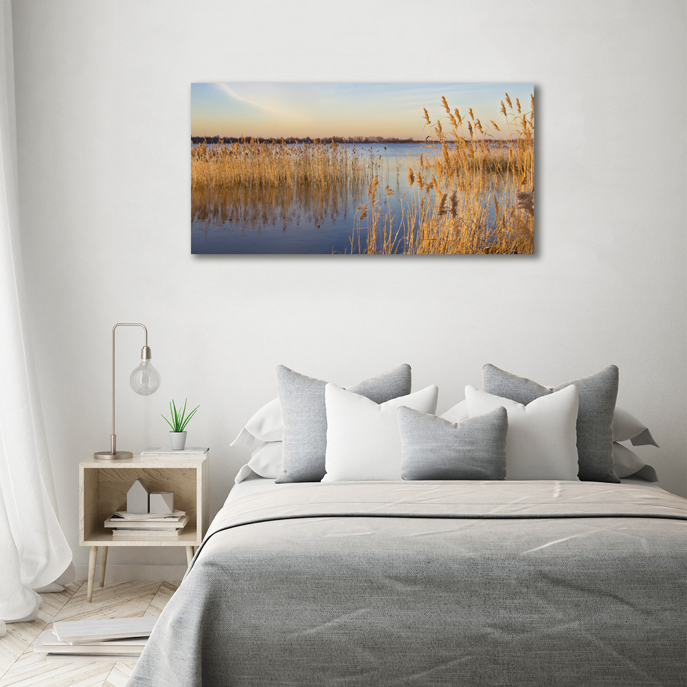 Canvas wall art Water cane