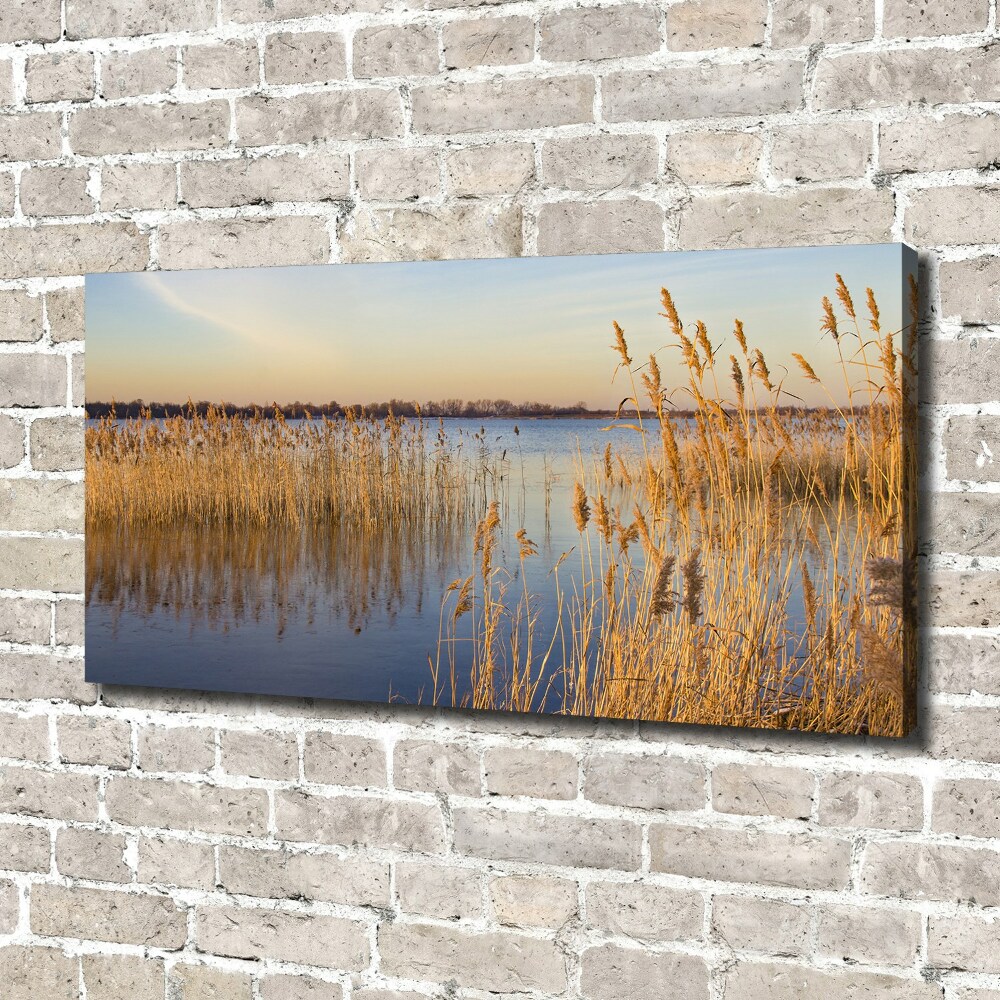 Canvas wall art Water cane