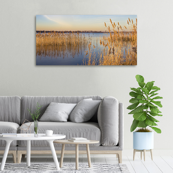 Canvas wall art Water cane