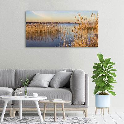 Canvas wall art Water cane