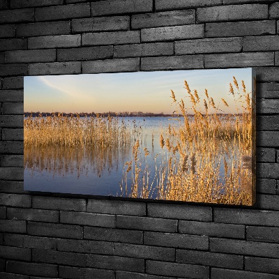 Canvas wall art Water cane