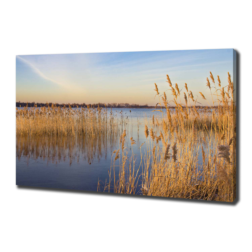 Canvas wall art Water cane