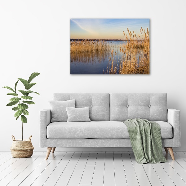 Canvas wall art Water cane