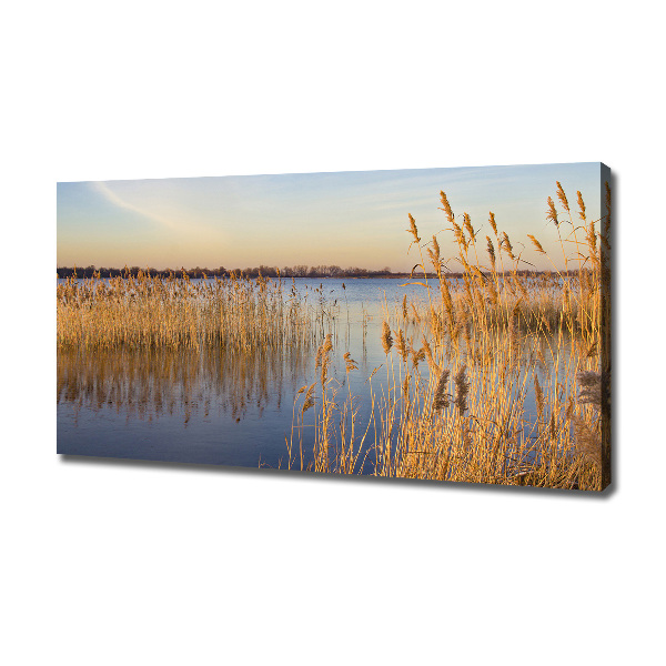 Canvas wall art Water cane