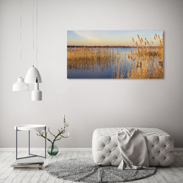 Canvas wall art Water cane