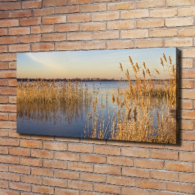 Canvas wall art Water cane