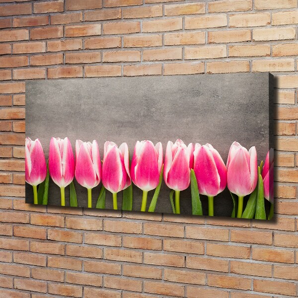 Canvas wall art Pink tulips