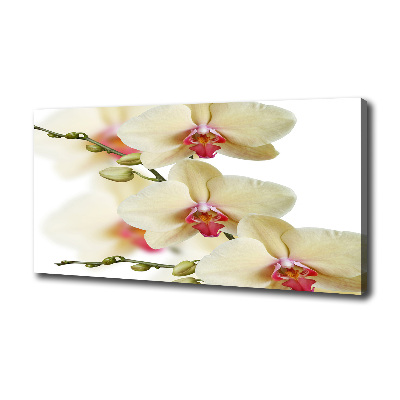 Canvas wall art Orchid