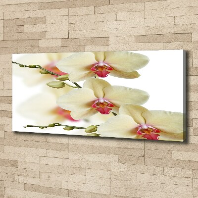 Canvas wall art Orchid