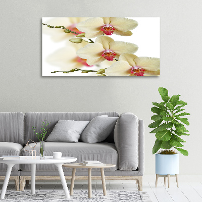 Canvas wall art Orchid