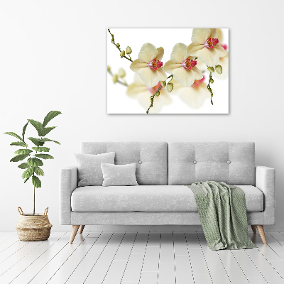 Canvas wall art Orchid