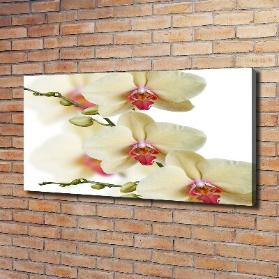 Canvas wall art Orchid