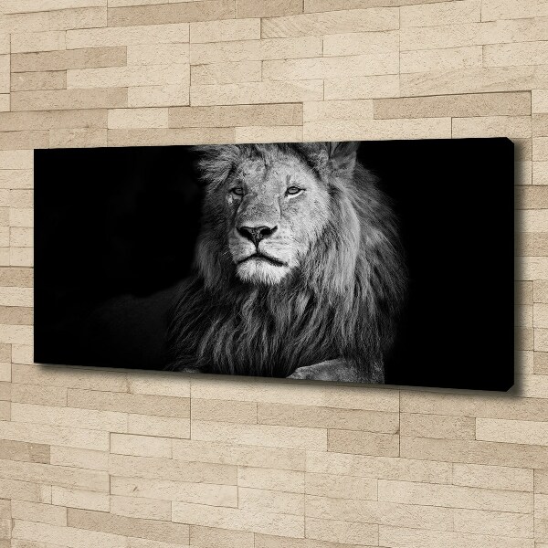 Canvas wall art Lion