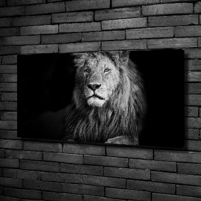 Canvas wall art Lion