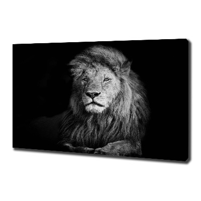 Canvas wall art Lion