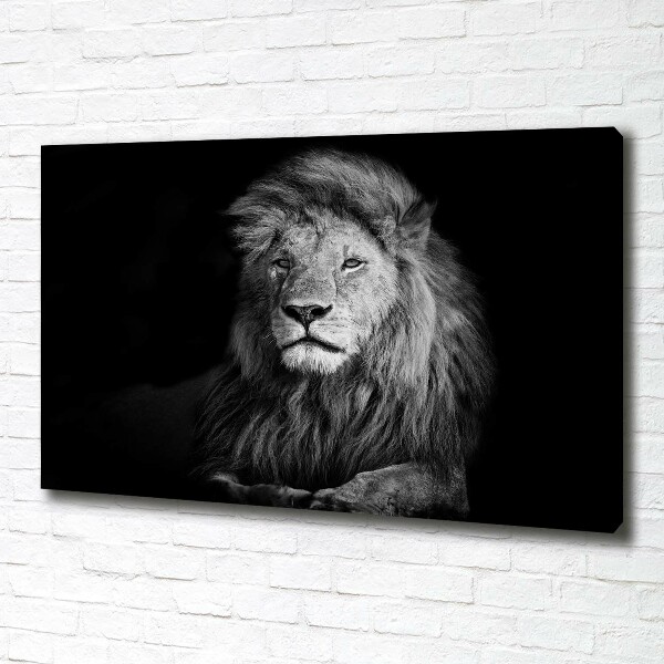 Canvas wall art Lion